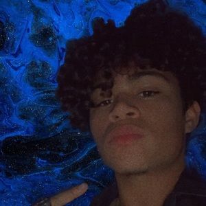 Meet your Posher, Yorel